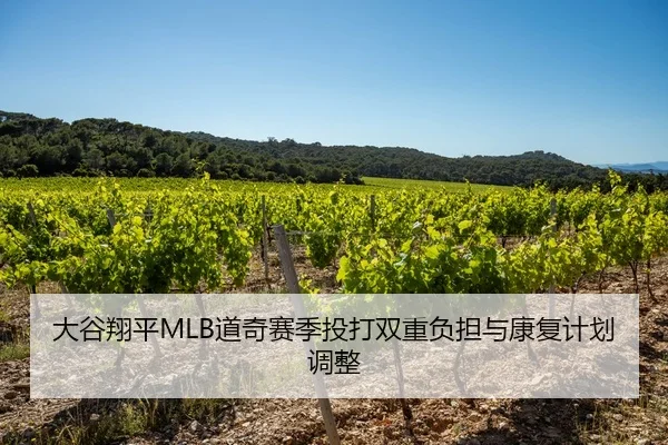 大谷翔平MLB道奇赛季投打双重负担与康复计划调整