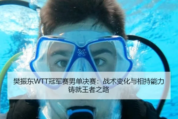 樊振东WTT冠军赛男单决赛：战术变化与相持能力铸就王者之路